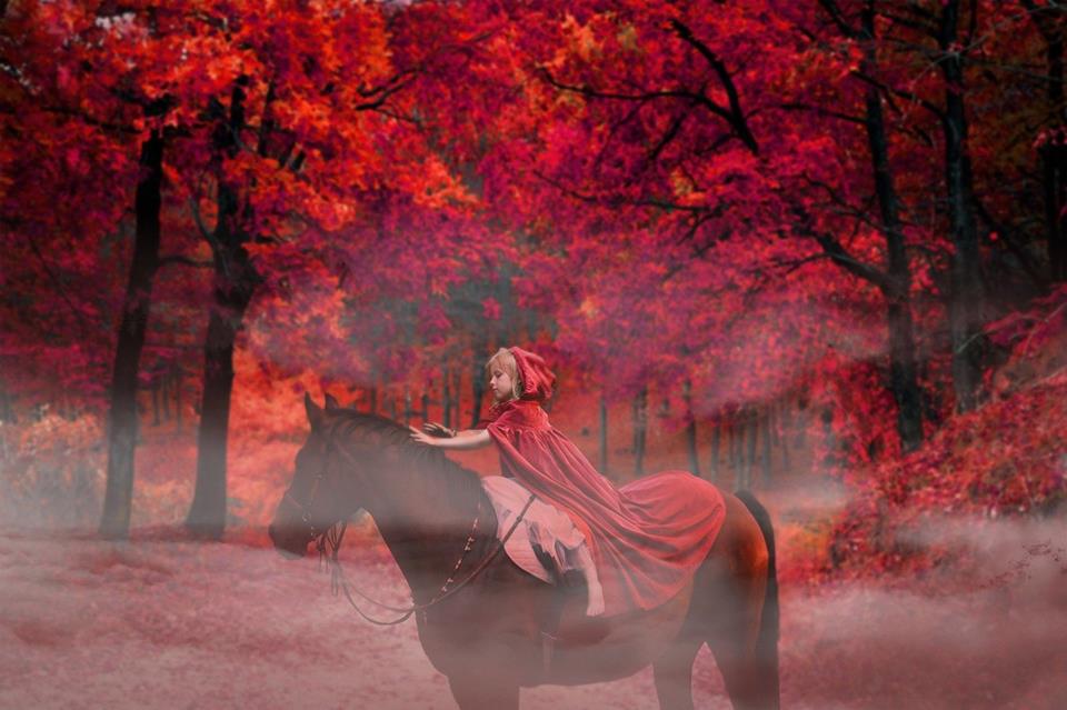 Little Red Hood jigsaw puzzle